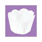 PIROTTINI TULIPA MM.50X45 H. PZ.150 BIANCO