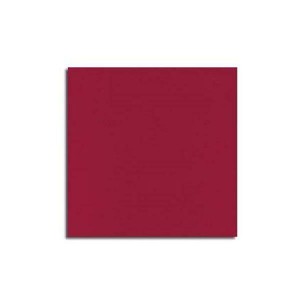 TOVAGLIOLI TNT 40 X 40 MONO BORDEAUX PZ.50