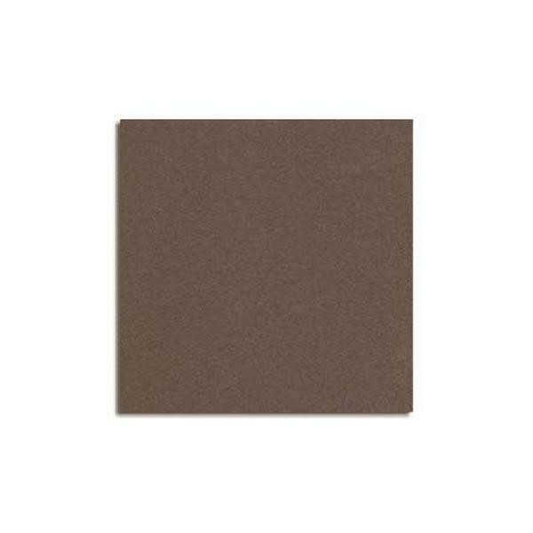 TOVAGLIOLI TNT 40 X 40 MONO CACAO PZ.50