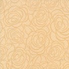 STRISCIA PIEG. 50X120 YOU&ME CHERIE CHAMPAGNE