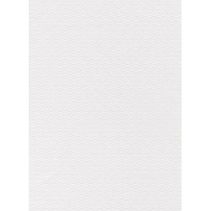 TOVAGLIETTA BIANCA 30X40 PZ.500 ECO
