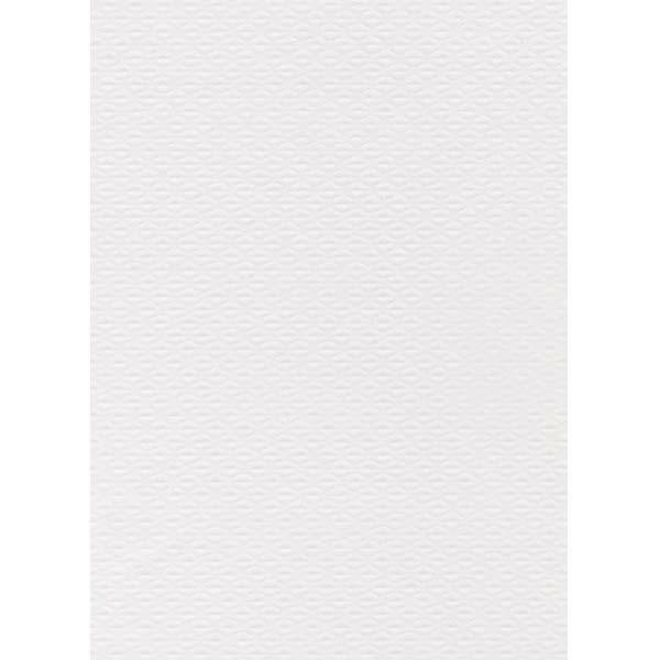 TOVAGLIETTA BIANCA 35X50 PZ.500 ECO