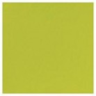 TOVAGLIOLI 38X38 2 V. PZ.40 KIWI